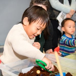A child smiles as he leans over a plastic tub filled with dirt using a set of tweezers to move objects around in the dirt. 