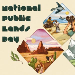 Illustration with fun lettering that reads, "National Public Lands Day." To the right are hexagonal frames containing a desert landscape, a seascape, a mountain scene, and a river in a forest.