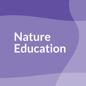 "Nature Educatin" on purple graphics 
