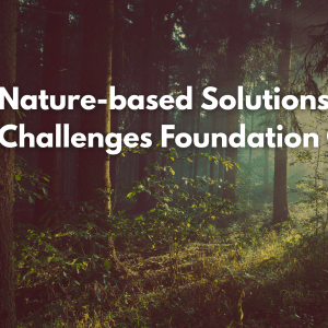 A banner announcing the Nature-based Solutions to Global Challenges Foundation Course over a forest background photo