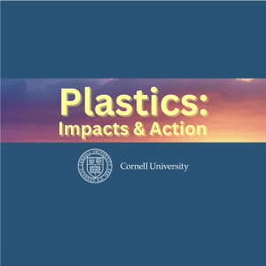 Blue background graphic with a photo of a cloudy sky lit by a sunset. On top of the photo is a bold yellow text overlay that says, "Plastics: Impacts and Action." The white Cornell Univeristy logo is below.