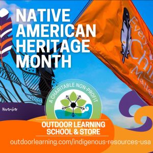 Native American Heritage Month (November)