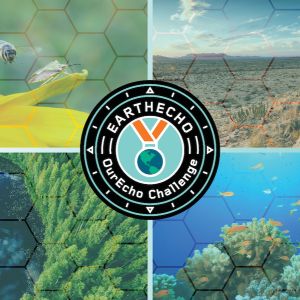 An image depicitng for nature scenes with the OurEcho Challenge program badge in the middle. The nature scenes include: a bee on a flower, a desert scene, a coral reef scene with orange fish, and an aerial image of a forest surrounding a lake. 