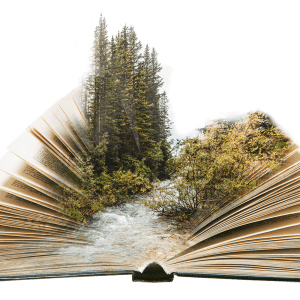 Decorative. An open book with a forest running through it.