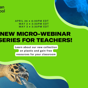 Poster for Ocean School's webinars with date and time
