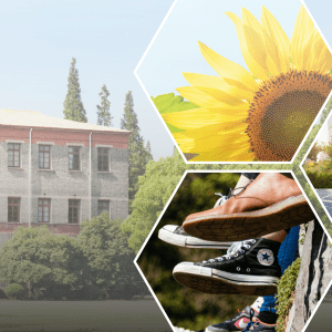 mosaic image of university building in background, with overlays of sunflower, dangling feet in shoes, city skyline and tree line