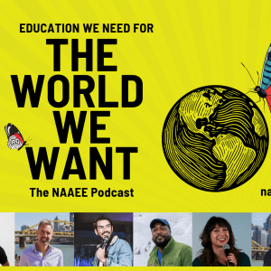 Twelve different faces represent the guests on The World We Want podcast