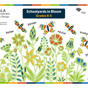 Colorful flowers and plants surrounded by butterflies and bees. Title is "Schoolyards in Bloom Grades K–5"