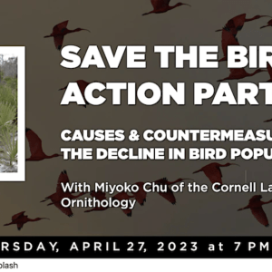 Photo of Dr Chu holding bird with text announcing the Save the Birds Action Party