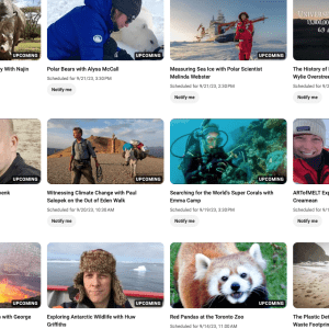 Youtube upcoming broadcast program images and list