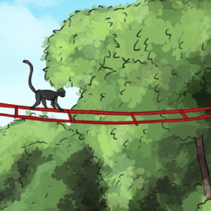 A primate uses a canopy bridge to safely cross a street. 