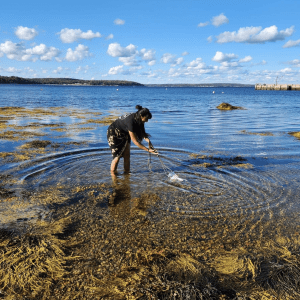 Woman standing in the water on a blue sky day. She is trawling with a DIY data collection device. 