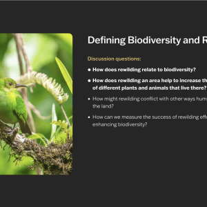 An example of the learning materials