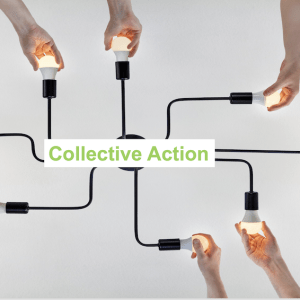 Image of multiple hands holding multiple light bulbs signifying collective action