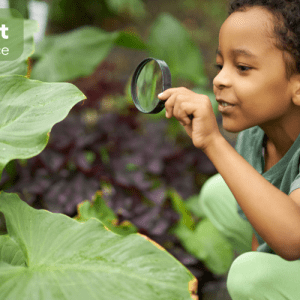 little boy crouched down looking at plant through magnifying glass