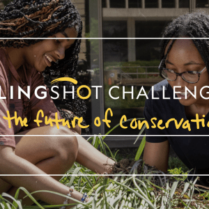 Photograph of two dark skinned young people with braids weeding in a garden, surrounded by green plants and purple flowers. 