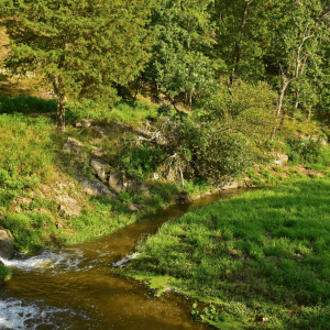 A green landscape on a hill covered in trees elevating to the left; a small body of running water cuts through it