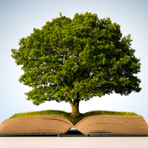 A book is open on a light brown desk with a light blue background behind it; a tree is growing between the pages of the book