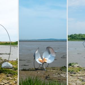 September 16: Ecological Intelligence for AI learning session 