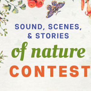 Illustrations of leaves, flowers, and butterflies frame the graphic and in the center is text: Sound, Scenes, and Stories of Nature Contest.