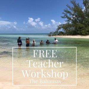 Come to Andros Island in The Bahamas for this unique teacher training opportunity!