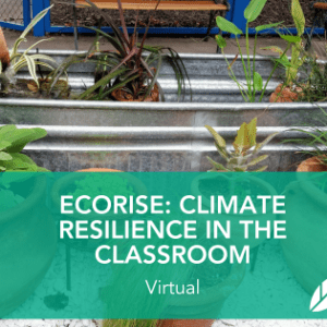 Text on a green transparent background reads "EcoRise: Climate Reslience in the Classroom, Virtual"; behind this are potted green plants and a steel tub with plants inside