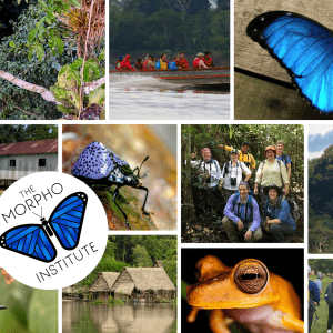 photo collage depicting Morpho Institute field programs