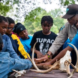 Students gather around a table outside surrounded by trees with outstretched hands to touch a variety of pelts and bones as part of an environmental education program led by a park ranger at a local park
