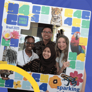 A banner for the UNDP Call for Solutions 2026 is displayed, with smiling volunteers standing to its left.