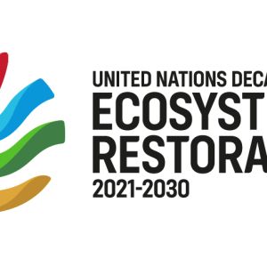Circle icon on the left showing three swirly lines—from the bottom up: brown, green, and blue—with a red heart at the top. The words in black and bold on the right say, "United Nations Decade on Ecosystem Restoration 2021–2030"