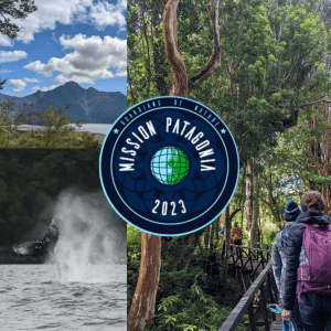 A flyer with three pictures, one of moutains and sky framed by trees, one of a humbpack whale tale emerging from the water, and one of people exploring through a rainforest. The bottom includes logos for AUI, Mission Patagonia 2023, and Fundacion MERI