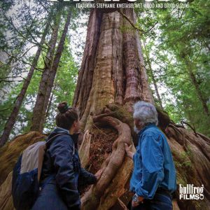 Text at top reads "War for the Woods"; a tall tree looms above two people below it