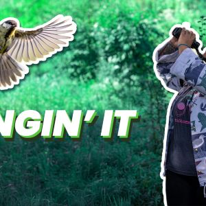 Wingin' It lesson thumbnail showing a birder making observations 