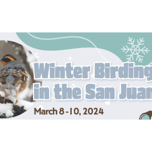 Graphic with a photo of a bird on the left and bold blue text that reads, "Winter Birding in the San Juans. March 8–10, 2024"