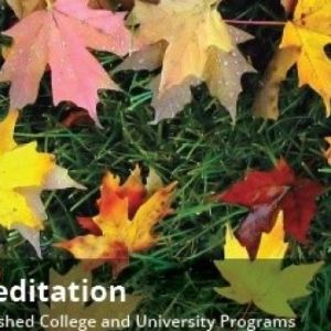 Image of leaves with "Accreditation: Distinguished College and University Programs"