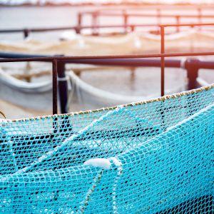 Photos of the edges of blue net cages in water