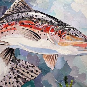 Collage-style illustration of a fish