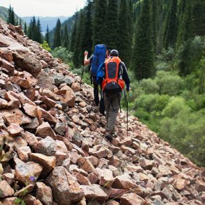 Two hikers with poles walk along a rocky hill to the left of them; to the right is a forest of tall green trees