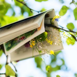 book draped over tree branch