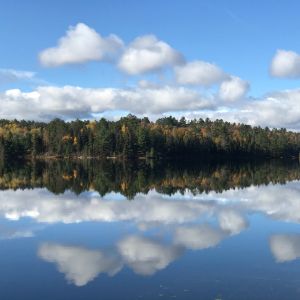 A boreal forest by a river on a partly cloudy day