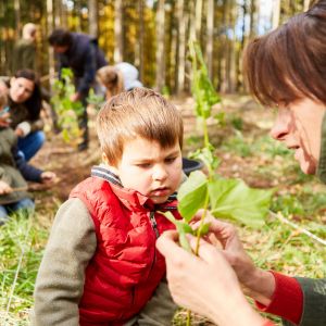 young child outdoors learning about plants