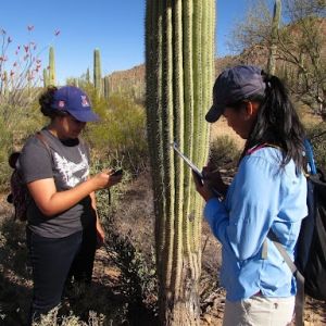 Students conduct field research alongside a saguaro cactus in the Sonoran Desert, collecting observational data as part of an outdoor science investigation.
