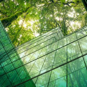 A green glass building is rising toward the top of the image; behind it are a number of leafy trees