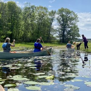 Teachers exploring a shoreline on foot and in canoes. The water is calm and there are lily pads on the surface. The sky is blue with a few clouds.