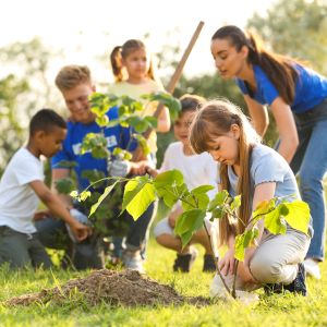 Six people, four of them children, gather around a small tree being planted in the soil; behind them a number of trees can be seen