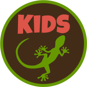 a green gecko logo on a brown background