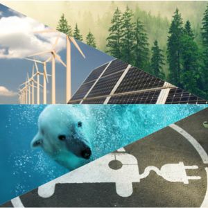 forest, windmills, polar bear, ev charging symbol