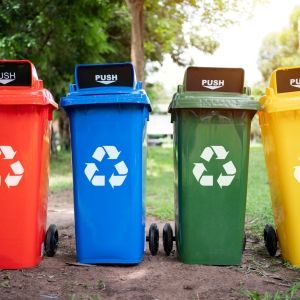 Four colorful recycling bins lined up in a green park area.