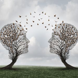 Two trees facing with birds flying between