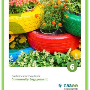 Colorful planters made out of tires